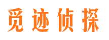 河口市调查公司